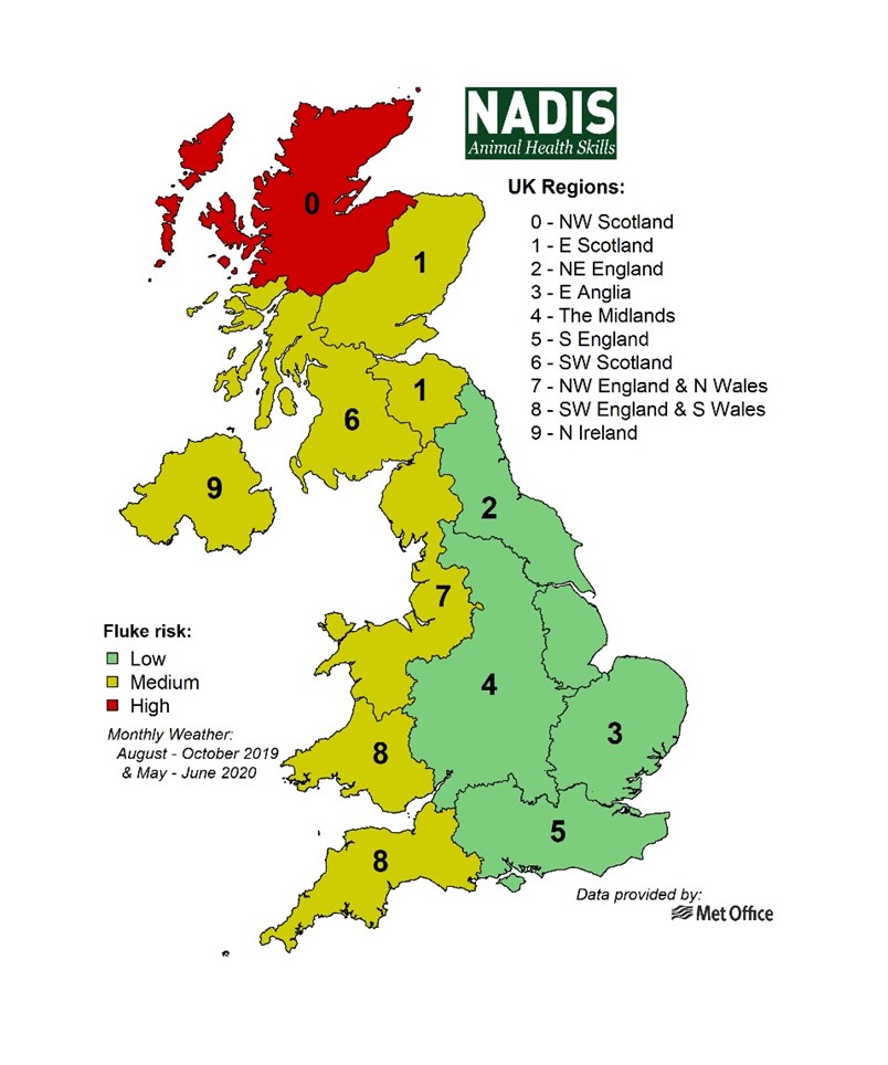 fluke forecast uk map summer 2020