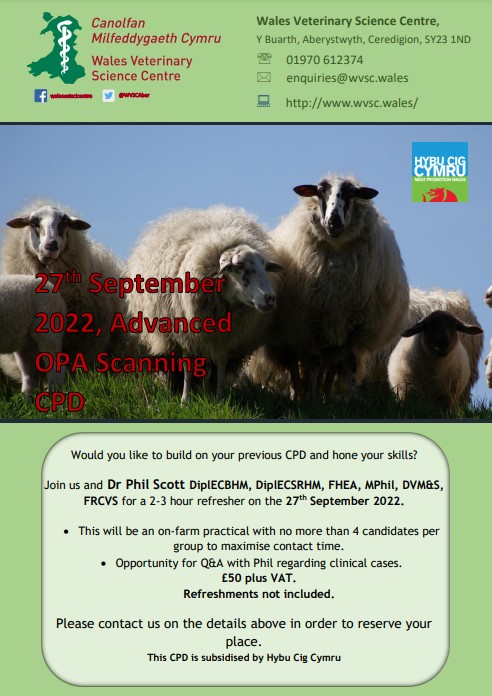 OPA refresher scanning course - Sheep Veterinary Society