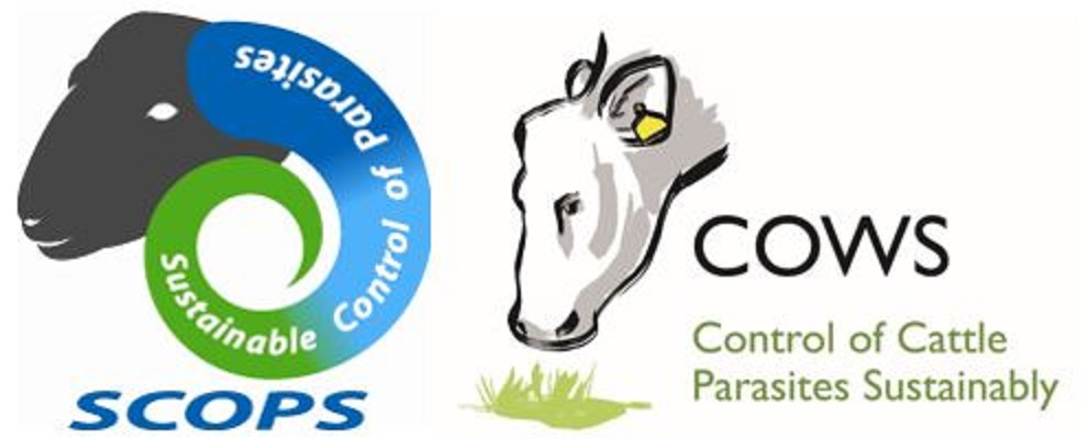 image of the SCOPS and COWS logo